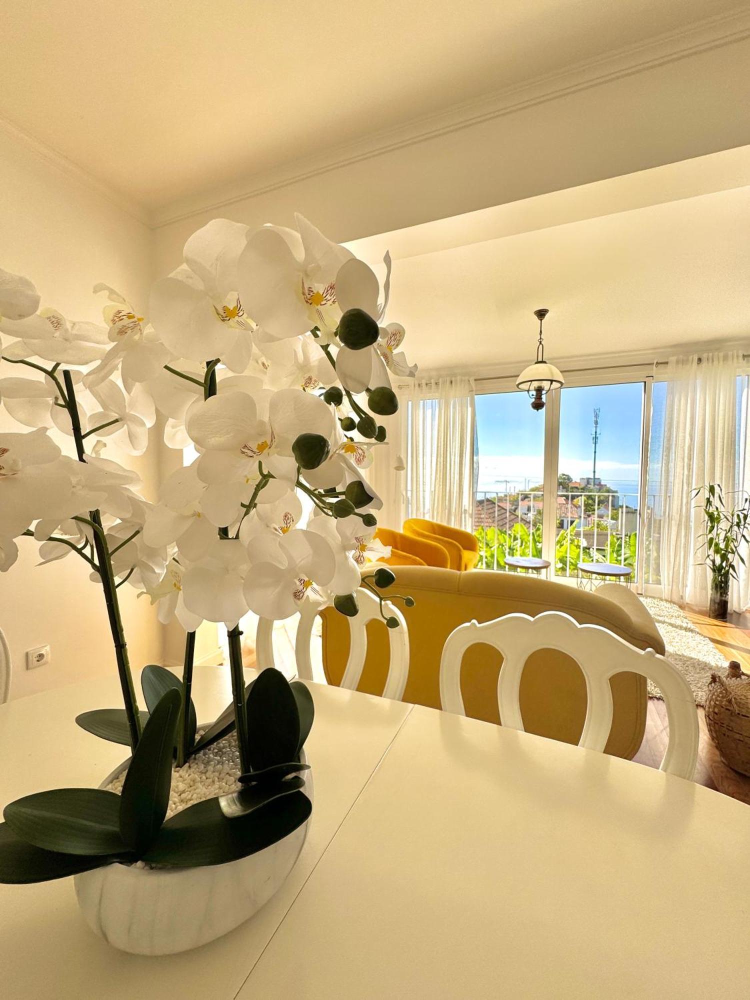 Апартаменты A Velha Casa Caboz Понта-ду-Сол Экстерьер фото